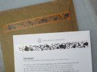 他の写真3: このはな「ジャックランタン（かぼちゃ唐草）白」