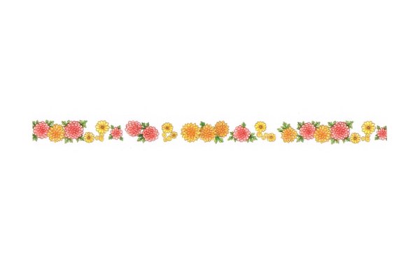 画像3: このはな「菊」