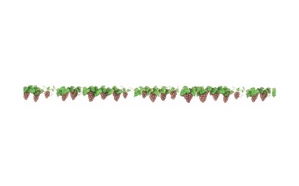 画像2: このはな「ぶどう畑」