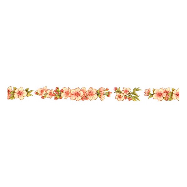 画像3: このはな「葉桜」リファイン