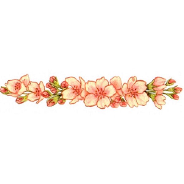 画像2: このはな「葉桜」リファイン