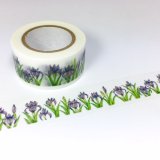 このはな「菖蒲（あやめ）」