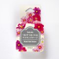 bande Garden コスモス
