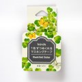 bande　Garden　クローバー