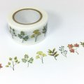 このはな「秋の草木標本」