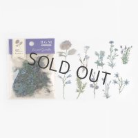 BGM クリアシール 夕暮れガーデン・紫