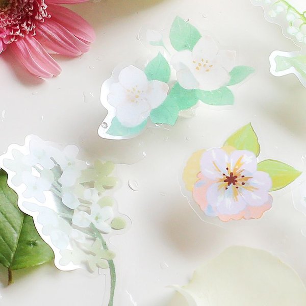 画像3: BGM クリアシール 朝の庭・ホワイト