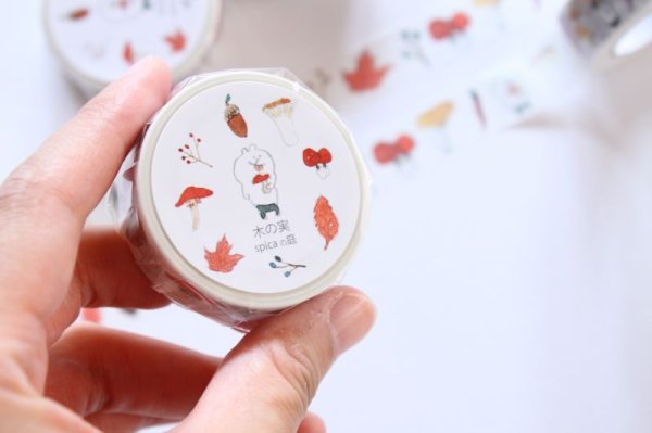 画像5: Spicaの庭 muuちゃん / 木の実