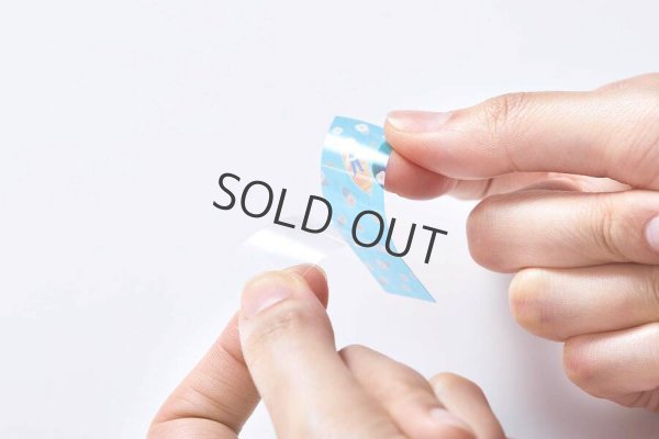 画像3: キングジム KITTA ドウブツ