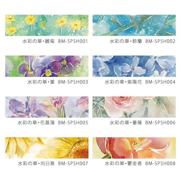 画像7: BGM Special 水彩の華・菫