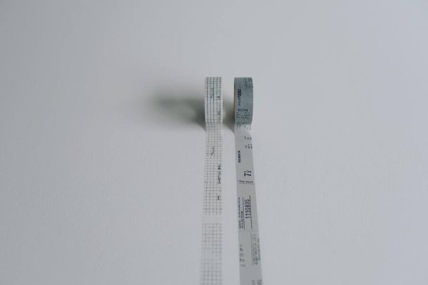 画像6: ヨハク アキノモリ