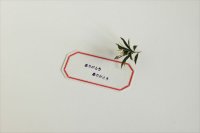classiky 凸版印刷 ラベルカード (八角・レッド)