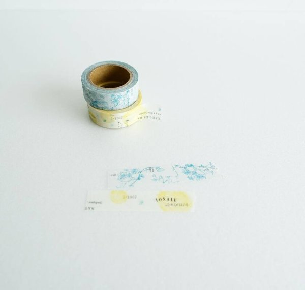 画像7: ヨハク クレマチス