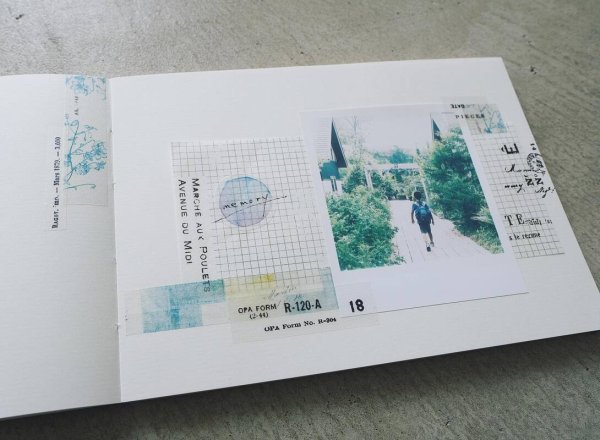 画像9: ヨハク クレマチス