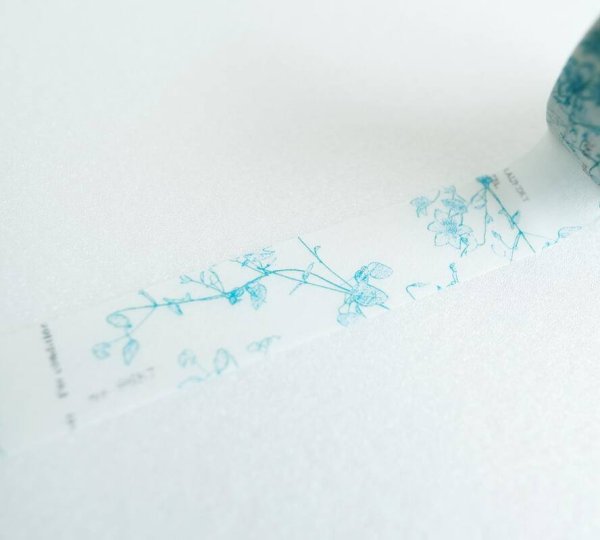 画像4: ヨハク クレマチス