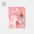 BGM クリアシール 博物誌・桜貝