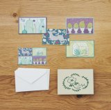sotlight COLOR CARDS BOX GREEN