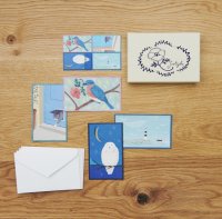 sotlight COLOR CARDS BOX BLUE