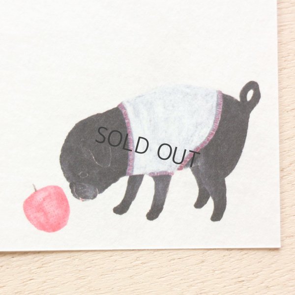 画像8: cozyca products 一筆箋 大森木綿子 Slow Life