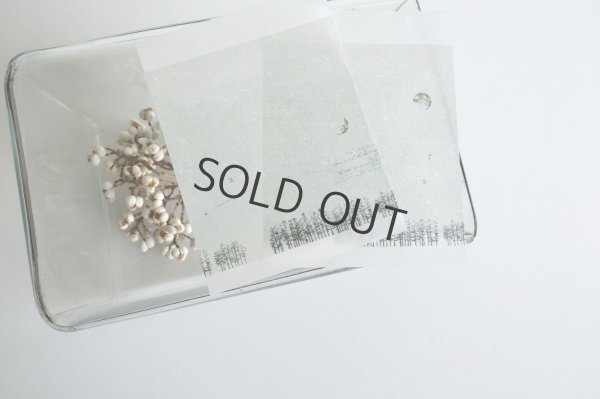 画像2: ヨハク メモ帳 27 ホシメグリ