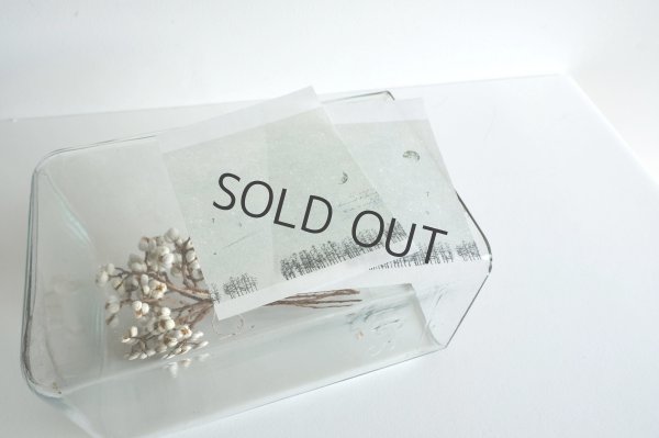 画像5: ヨハク メモ帳 27 ホシメグリ