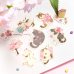 ねこうらら
