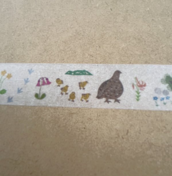 画像3: yama-no-tomo マスキングテープ 雷鳥を探して