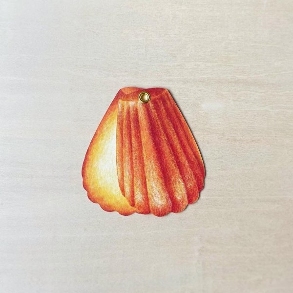 画像5: ア・ラ・カル堂 マドレーヌのシェルカード