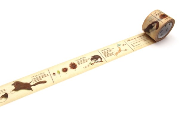 画像2: KAMOI mt ex 図鑑・モモンガ (2)