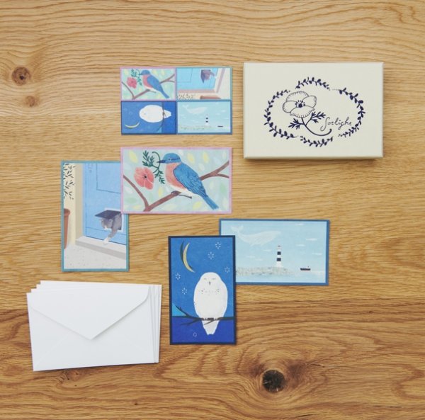 画像1: sotlight COLOR CARDS BOX BLUE (1)