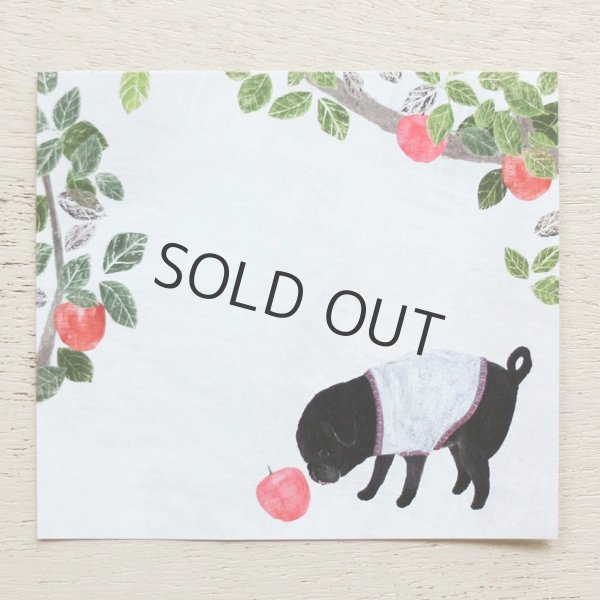 画像6: cozyca products ブロックメモ 大森木綿子 Slow Life (6)