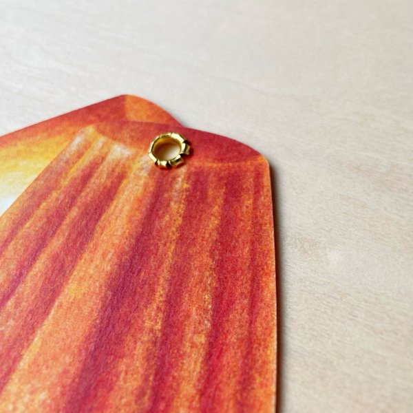 画像7: ア・ラ・カル堂 マドレーヌのシェルカード (7)