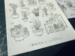 画像4: 大枝活版室 "WACCA JAPAN コラボ" LETTERPRESS sticker sheet 『EDO GARDENING』 シリーズ (4)