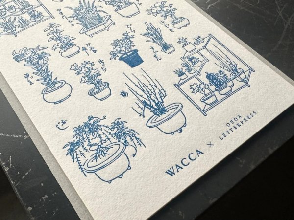 画像3: 大枝活版室 限定色 "WACCA JAPAN コラボ" LETTERPRESS sticker sheet 『EDO GARDENING』 紺碧色 (3)